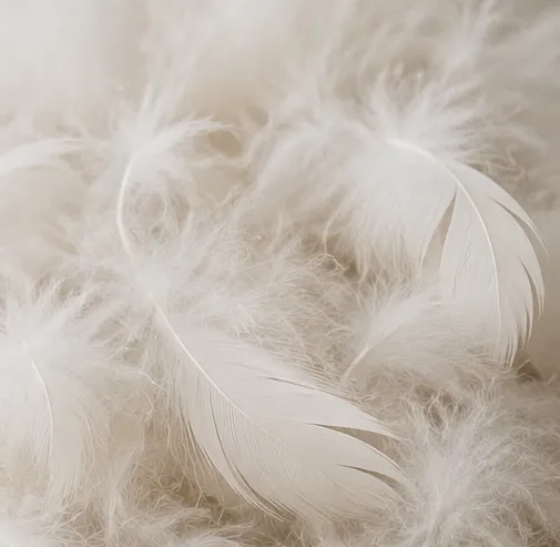 Feather & Down
